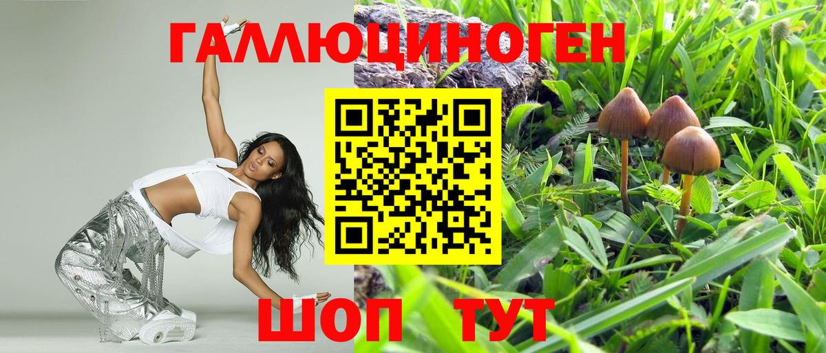 где купить наркотик  Вход с VPN  Балашов  Псилоцибиновые грибы Magic Shrooms  Псилоцибиновые грибы MAGIC MUSHROOMS 
